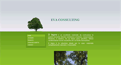 Desktop Screenshot of evaconsulting.biz